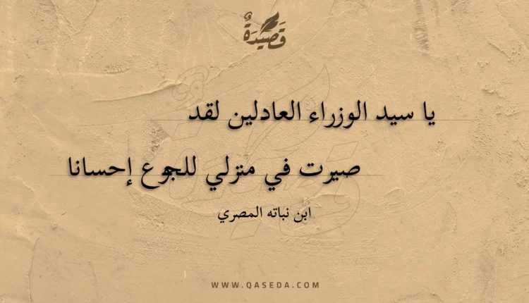 قصيدة يا سيد الوزراء العادلين لقد