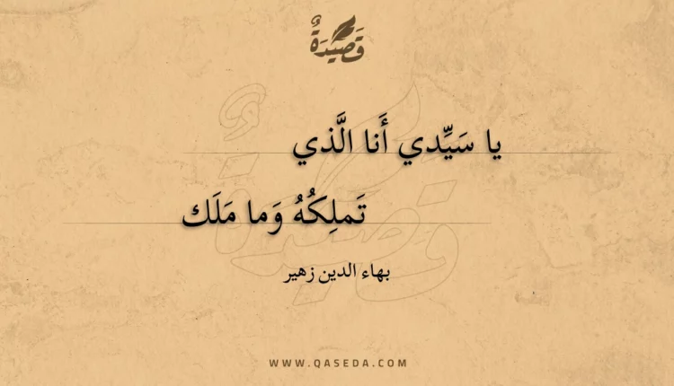 قصيدة يا سيدي أنا الذي