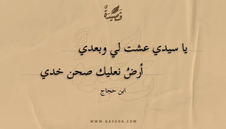 قصيدة يا سيدي عشت لي وبعدي