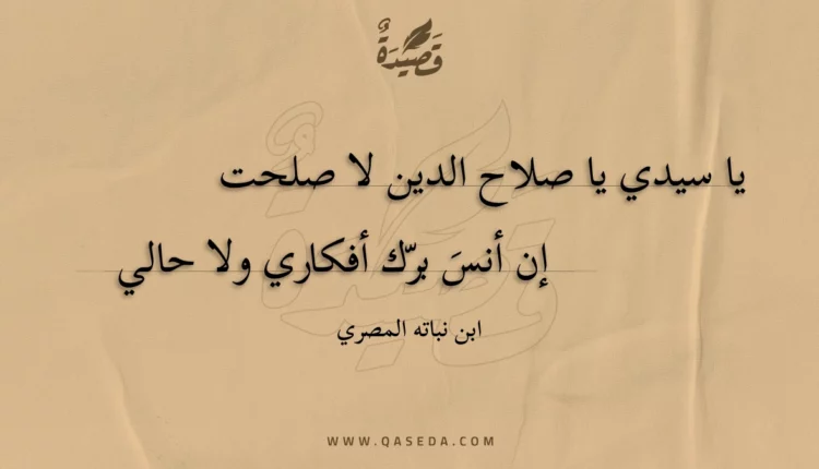 قصيدة يا سيدي يا صلاح الدين لا صلحت
