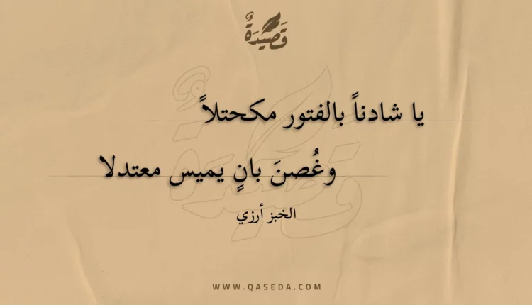 قصيدة يا شادنا بالفتور مكحتلا