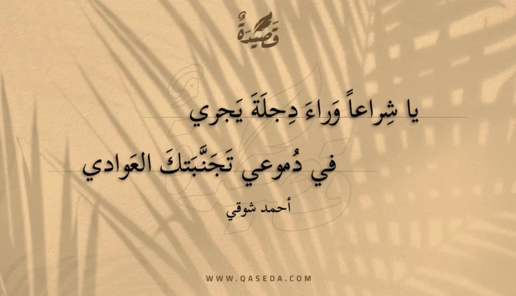 قصيدة يا شراعا وراء دجلة يجري