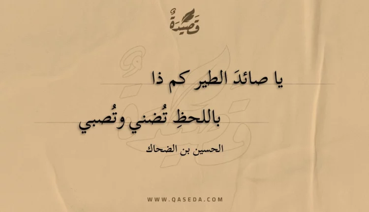 قصيدة يا صائد الطير كم ذا