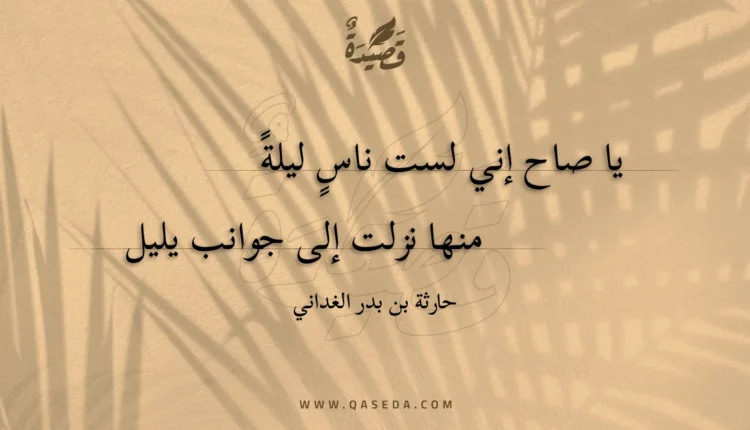 قصيدة يا صاح إني لست ناسٍ ليلة