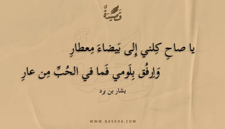 قصيدة يا صاح كلني إلى بيضاء معطار