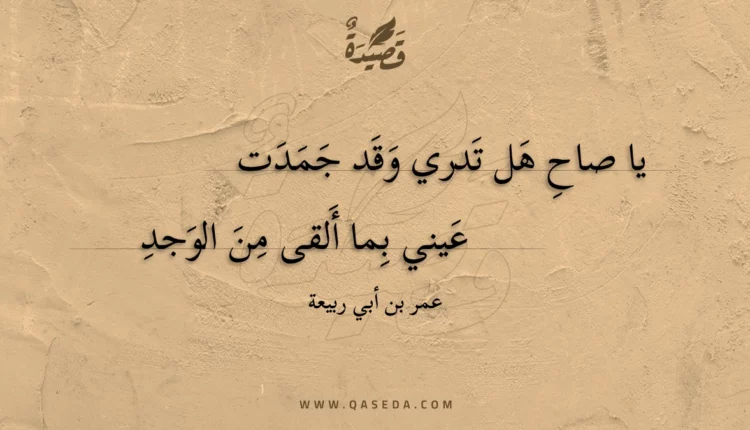 قصيدة يا صاح هل تدري وقد جمدت