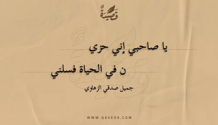 قصيدة يا صاحبي إني حزين