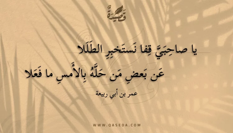 قصيدة يا صاحبي قفا نستخبر الطللا