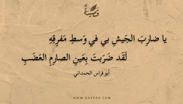 قصيدة يا ضارب الجيش بي في وسط مفرقه