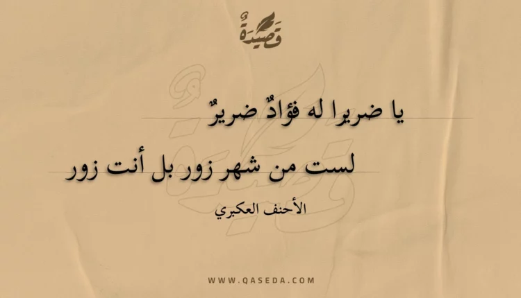 قصيدة يا ضريرا له فؤاد ضرير