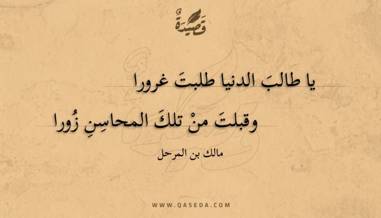 قصيدة يا طالب الدنيا طلبت غرورا
