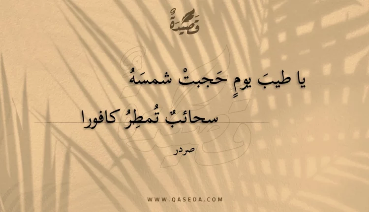 قصيدة يا طيب يوم حجبت شمسه