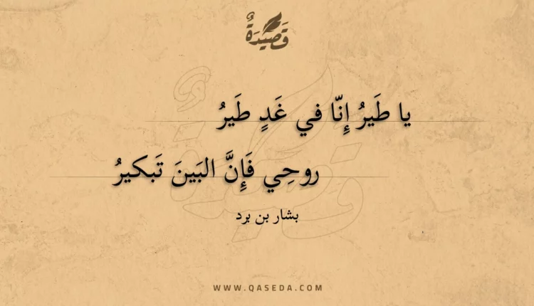 قصيدة يا طير إنا في غد طير