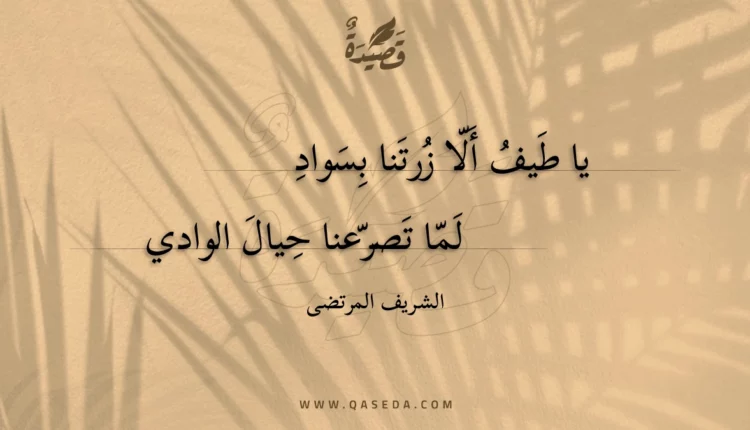 قصيدة يا طيف ألا زرتنا بسواد