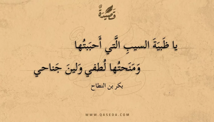قصيدة يا ظبية السيب التي أحببتها