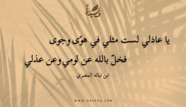 قصيدة يا عاذلي لست مثلي في هوى وجوى