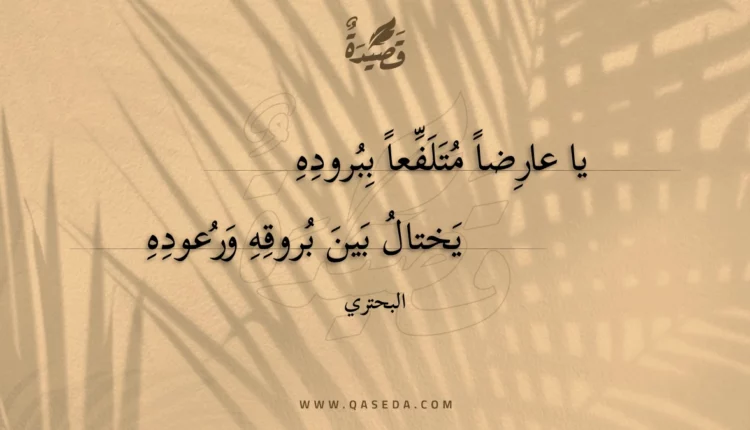 قصيدة يا عارضا متلفعا ببروده
