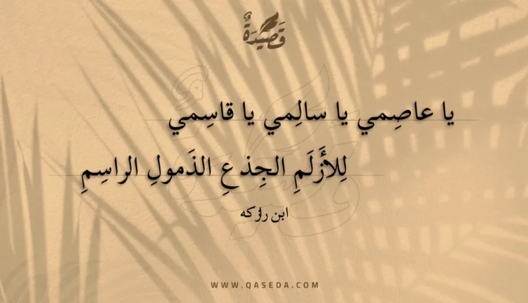 قصيدة يا عاصمي يا سالمي يا قاسمي