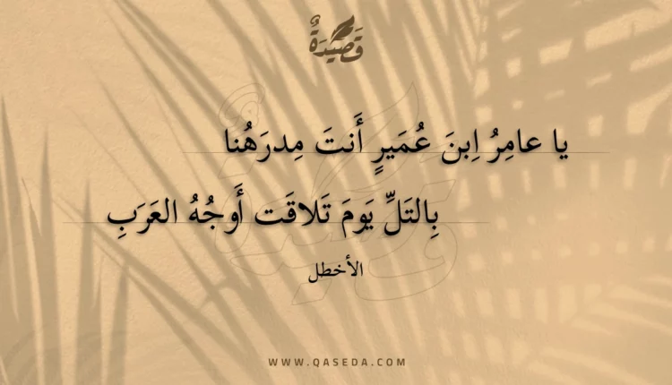 قصيدة يا عامر ابن عمير أنت مدرهنا