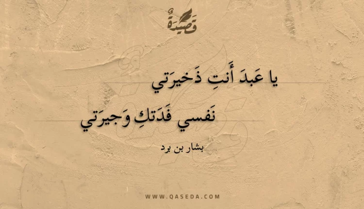 قصيدة يا عبد أنت ذخيرتي