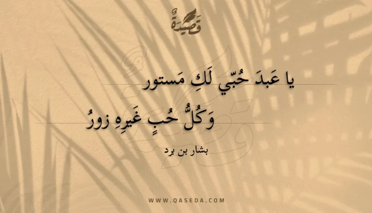 قصيدة يا عبد حبي لك مستور