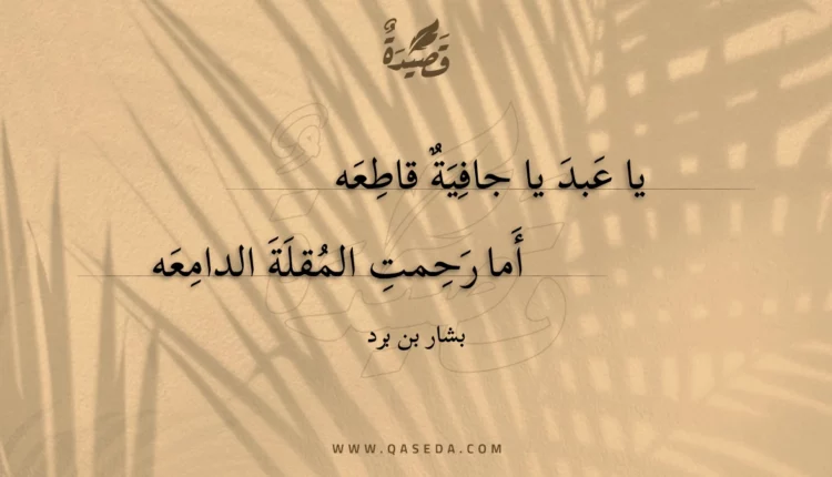 قصيدة يا عبد يا جافية قاطعه
