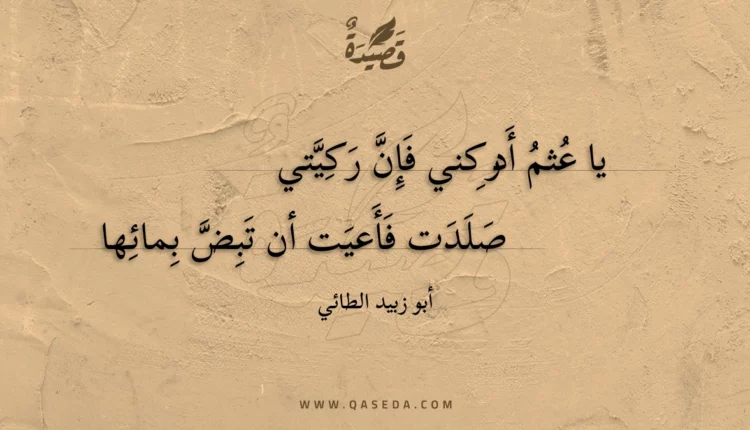 قصيدة يا عثم أدركني فإن ركيتي