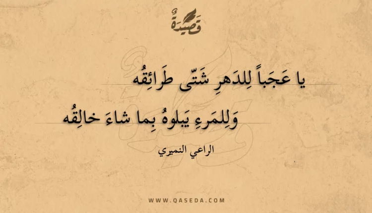 قصيدة يا عجبا للدهر شتى طرائقه