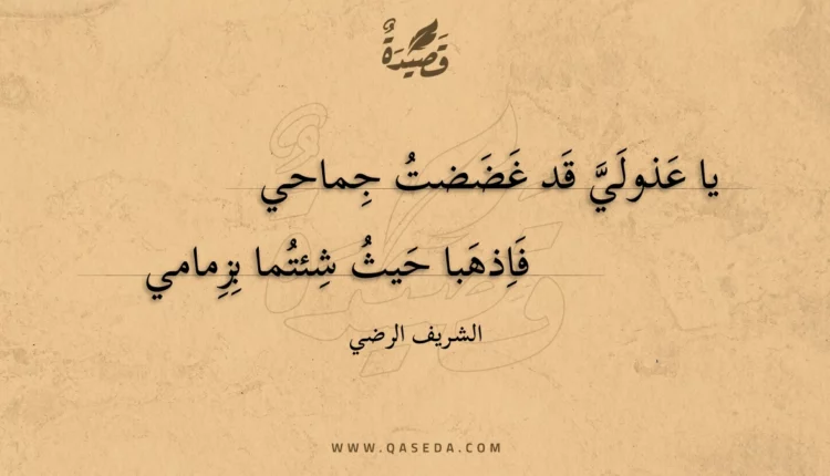 قصيدة يا عذولي قد غضضت جماحي