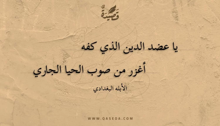 قصيدة يا عضد الدين الذي كفه