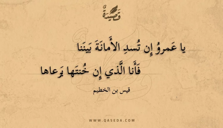 قصيدة يا عمرو إن تسد الأمانة بيننا