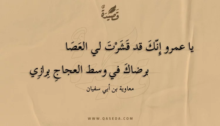 قصيدة يا عمرو إنك قد قشرت لي العصا