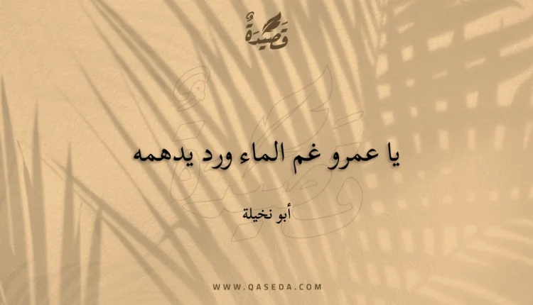 قصيدة يا عمرو غم الماء ورد يدهمه