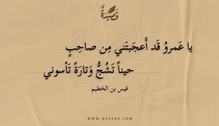 قصيدة يا عمرو قد أعجبتني من صاحب