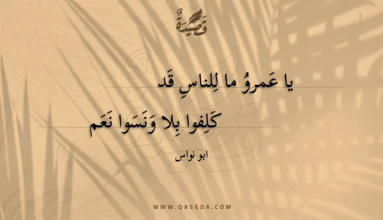 قصيدة يا عمرو ما للناس قد