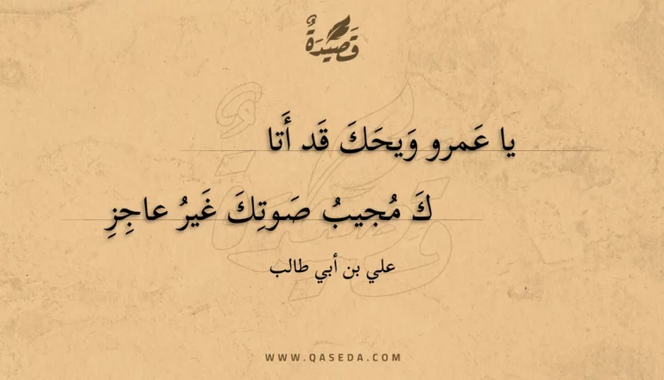 قصيدة يا عمرو ويحك قد أتاك