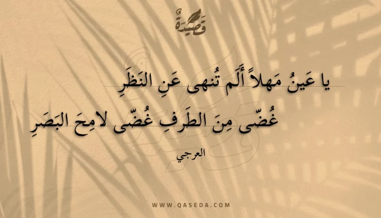 قصيدة يا عين مهلا ألم تنهى عن النظر
