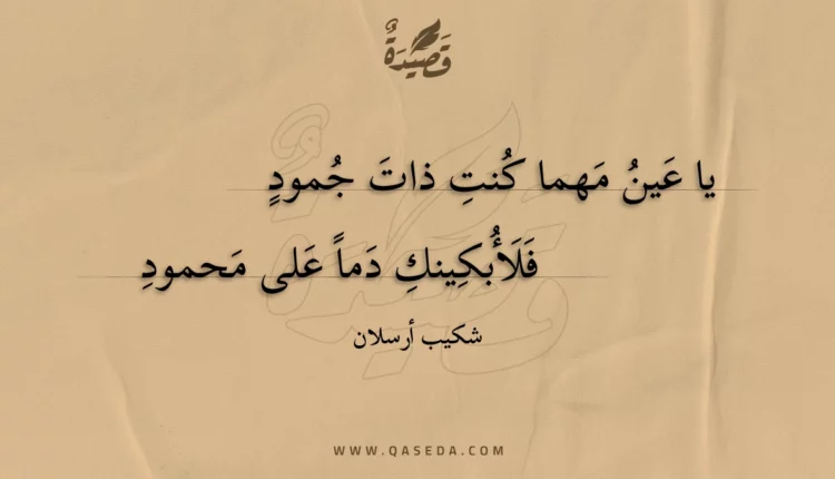 قصيدة يا عين مهما كنت ذات جمود