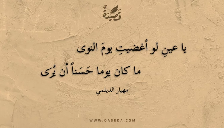 قصيدة يا عينِ لو أغضيتِ يوم النوى