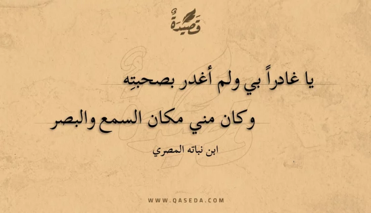 قصيدة يا غادرا بي ولم أغدر بصحبته