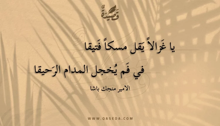 قصيدة يا غزالا يقل مسكا فتيقا