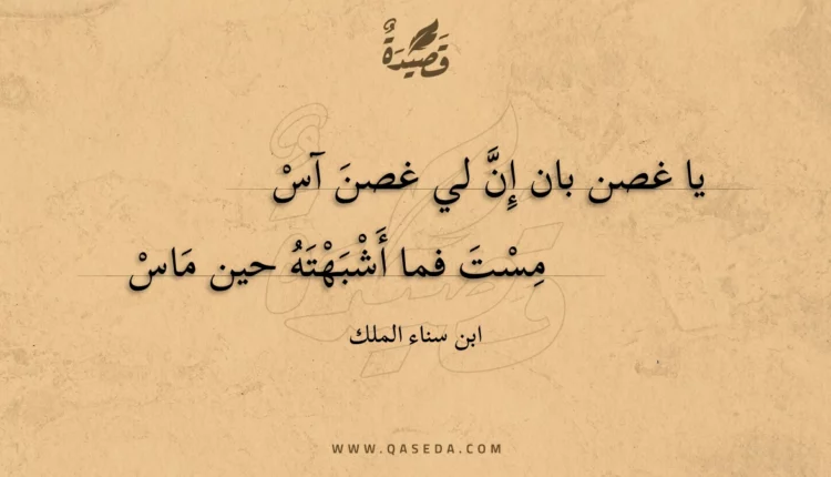 قصيدة يا غصن بان إن لي غصن آس