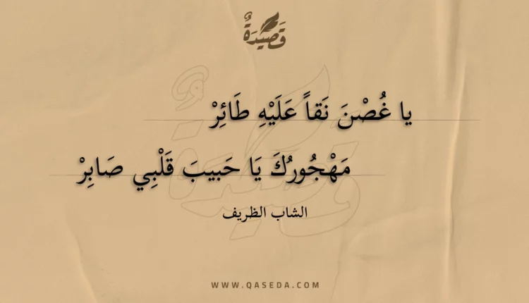 قصيدة يا غصن نقا عليه طائر