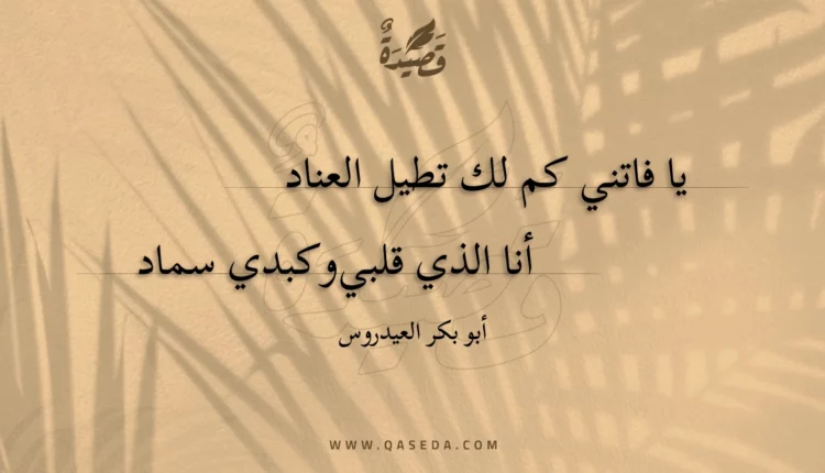 قصيدة يا فاتني كم لك تطيل العناد