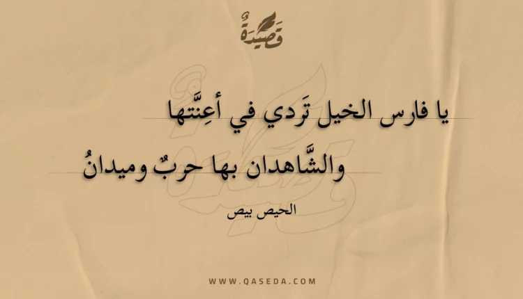 قصيدة يا فارس الخيل تردي في أعنتها