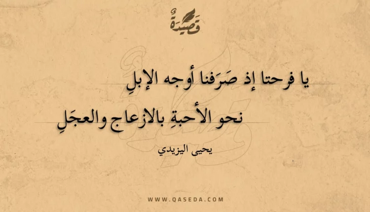 قصيدة يا فرحتا إذ صرفنا أوجه الإبل