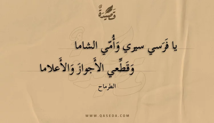 قصيدة يا فرسي سيري وأمي الشاما