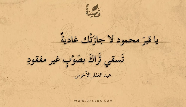 قصيدة يا قبر محمود لا جازتك غادية
