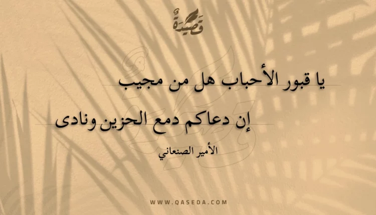قصيدة يا قبور الأحباب هل من مجيب
