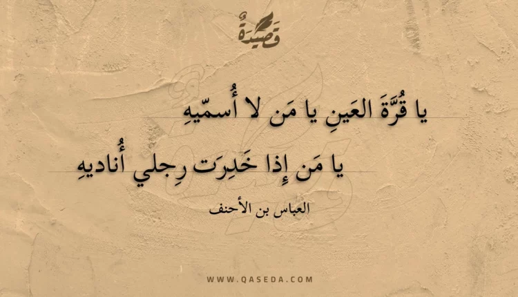 قصيدة يا قرة العين يا من لا أسميه